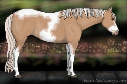 Horse Color:Silver Bay Dun Sabino Tobiano Frame Rabicano