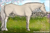 Horse Color:Cremello 