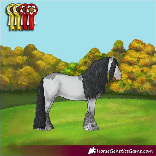 Horse Color:Classic Champagne Chinchilla Dun 