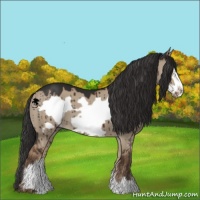 Horse Color:Liver Red Dun Frame Brindle 