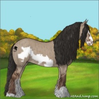 Horse Color:Liver Red Dun Frame Brindle 