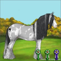 Horse Color:White Spotted Classic Champagne Chinchilla Dun Sabino