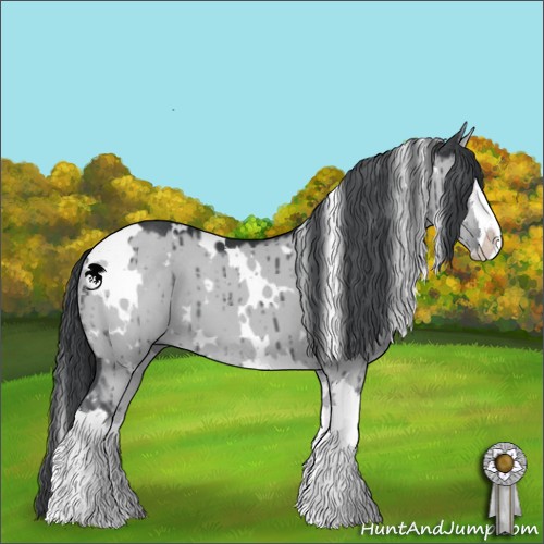Horse Color:White Spotted Grullo Chinchilla Splash Brindle 