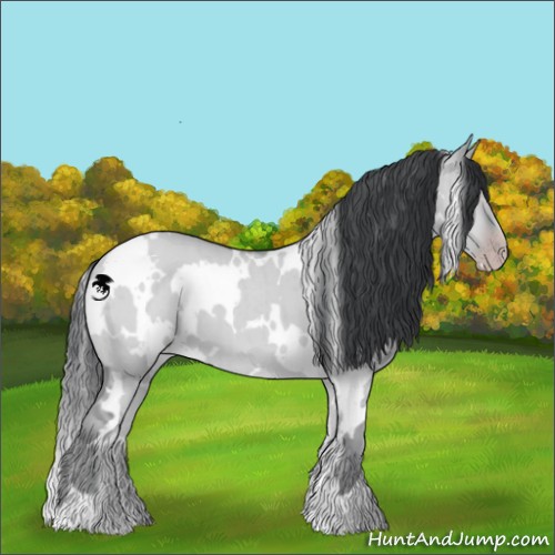 Horse Color:White Spotted Classic Champagne Chinchilla Dun Brindle 