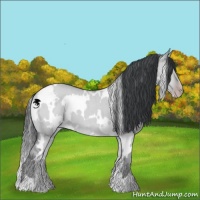 Horse Color:White Spotted Classic Champagne Chinchilla Dun Brindle 