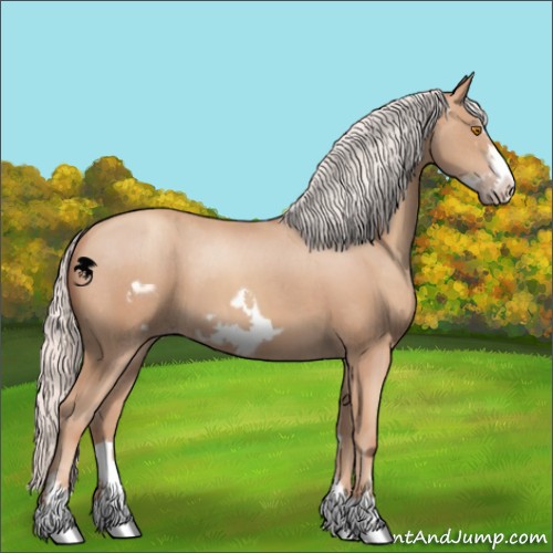 Horse Color:Silver Classic Champagne Frame 