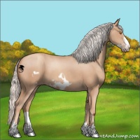 Horse Color:Silver Classic Champagne Frame