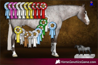 Horse Color:Silver Brown Roan 