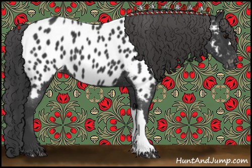 Horse Color:Black Near Leopard