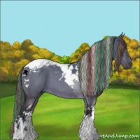 Horse Color:Painted Brown Dun Tobiano