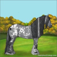 Horse Color:White Spotted Grullo Chinchilla Brindle 