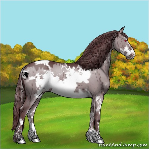Horse Color:White Spotted Chocolate Grullo Chinchilla Frame 