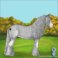 Horse Color:Silver Classic Champagne Chinchilla Dun Sabino Brindle