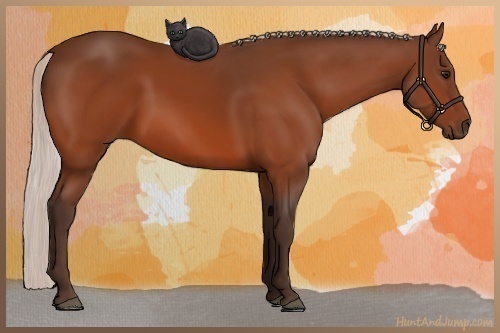 Horse Color:Silver Bay