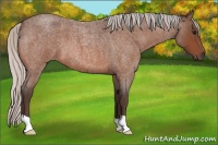 Horse Color:Silver Brown Roan 