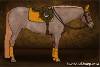 Horse Color:Red Roan 