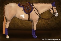 Horse Color:Gold Champagne Splash Frame