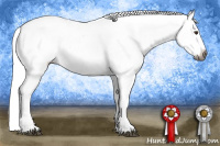 Horse Color:Gray Chestnut Sabino Snowcap Rabicano 