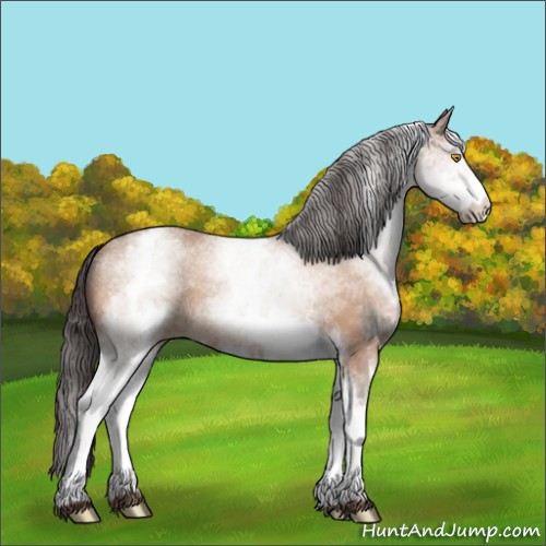 Horse Color:White Spotted Amber Champagne 