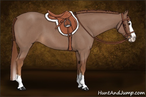 Horse Color:Red Roan Splash 