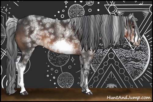 Horse Color:White Spotted Brown Frame 