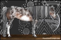 Horse Color:White Spotted Brown Frame 