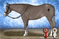 Horse Color:Liver Chestnut Mushroom Sabino Appaloosa 