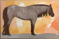 Horse Color:Gray Red Roan 