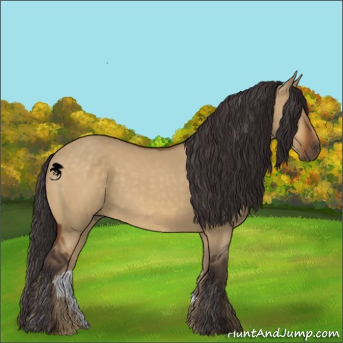 Horse Color:Buckskin Dun 