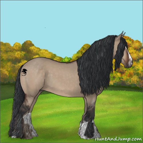Horse Color:Brown Dun Sabino 
