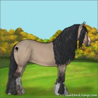 Horse Color:Brown Dun Sabino 
