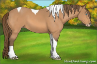 Horse Color:Gray Perlino Tobiano
