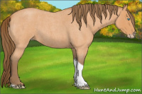 Horse Color:Gray Perlino Roan Tobiano