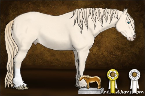 Horse Color:Perlino 