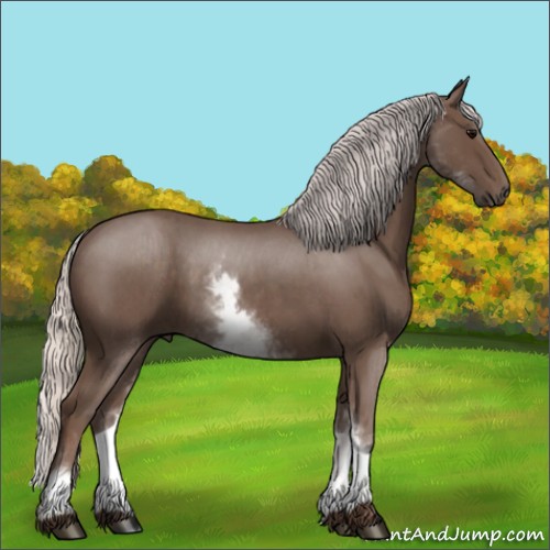 Horse Color:White Spotted Silver Blue Roan