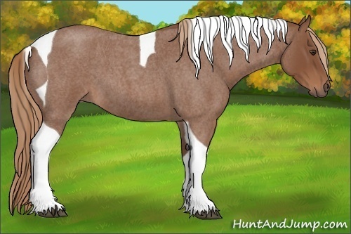 Horse Color:Red Roan Tobiano 