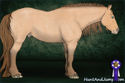 Horse Color:Gray Perlino Roan Rabicano 