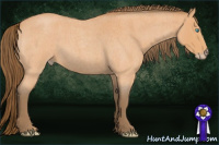 Horse Color:Gray Perlino Roan Rabicano 