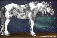 Horse Color:White Spotted Black Splash Tobiano Frame Varnish