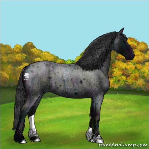 Horse Color:Midnight Blue Roan Sabino