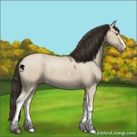 Horse Color:White Spotted Classic Champagne Dun 
