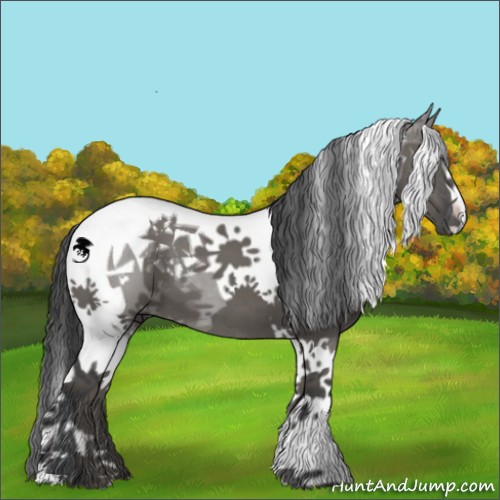 Horse Color:Grullo Tobiano 