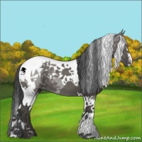 Horse Color:Grullo Tobiano 