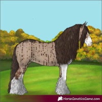 Horse Color:Liver Red Dun Sabino Brindle