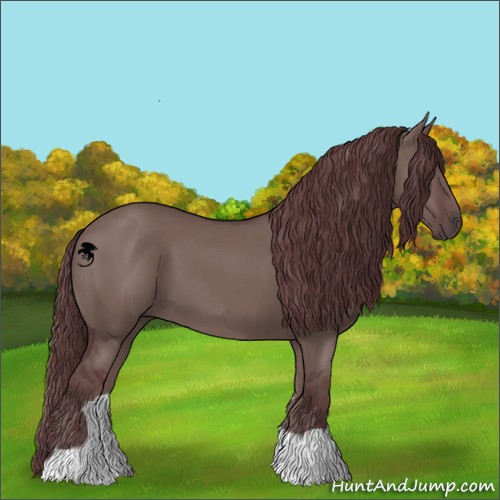 Horse Color:Chocolate Grullo 