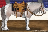 Horse Color:Bay Splash Tobiano Appaloosa and Bay Splash Tobiano Appaloosa