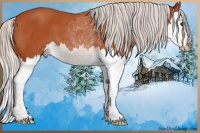 Horse Color:Silver Bay Sabino Splash