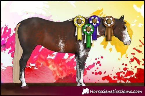 Horse Color:White Spotted Liver Chestnut 