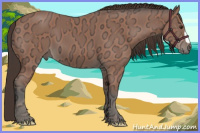 Horse Color:Bay Ice 