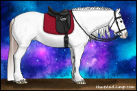 Horse Color:White Spotted Brown Dun Varnish 